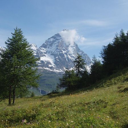 B&B A Pankeo Valtournenche Buitenkant foto