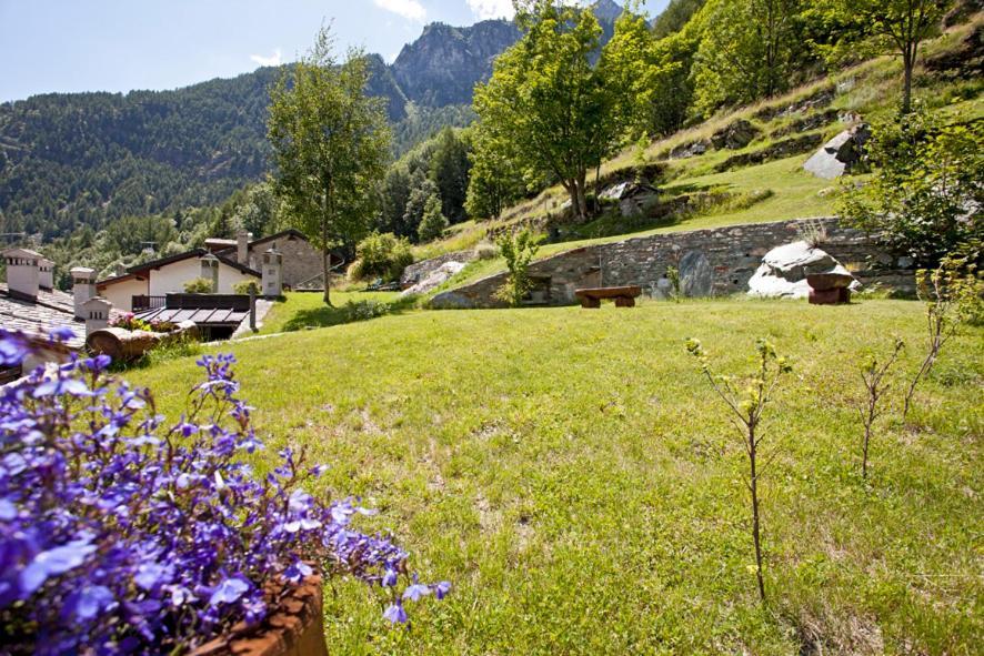 B&B A Pankeo Valtournenche Buitenkant foto