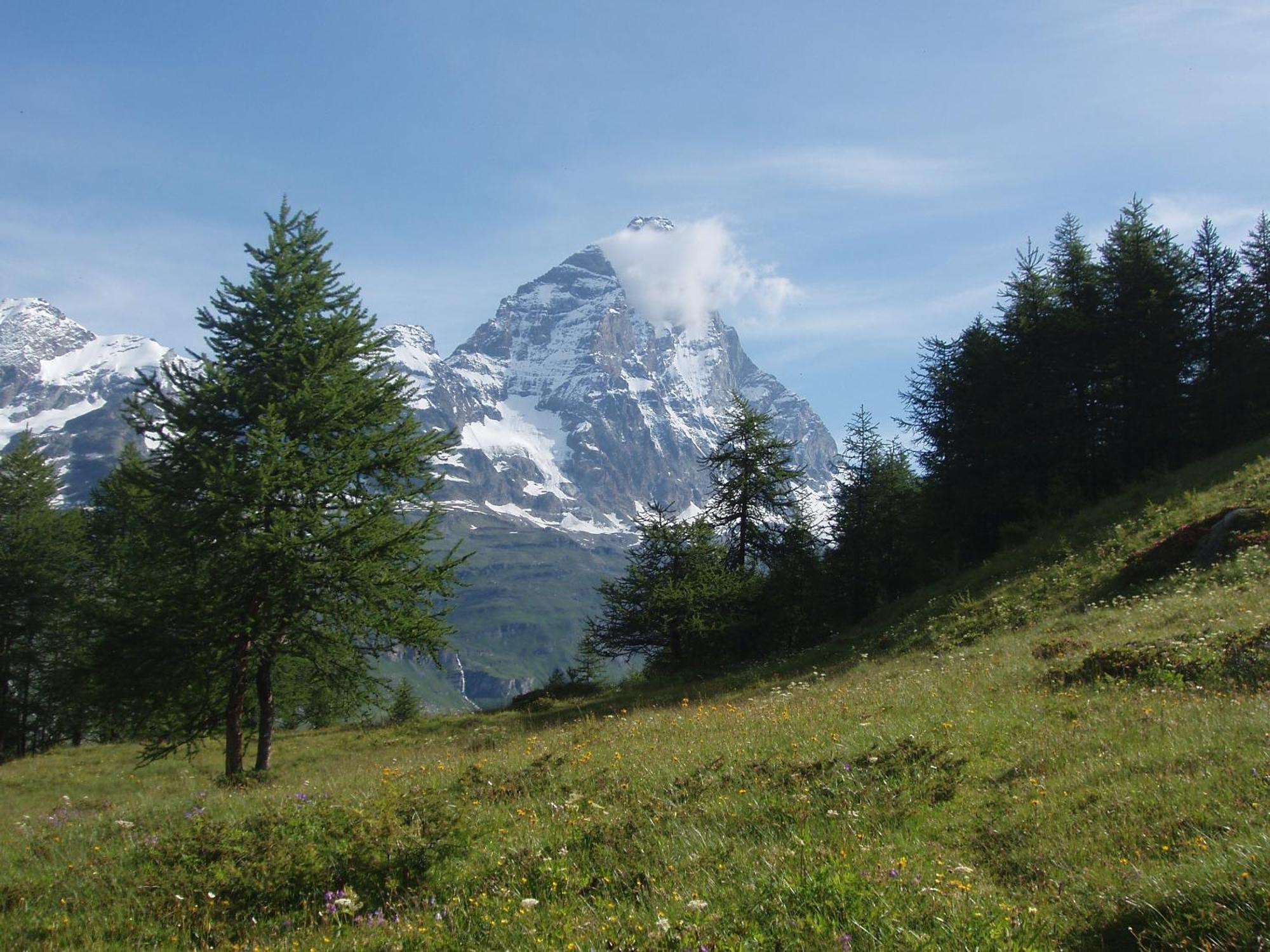 B&B A Pankeo Valtournenche Buitenkant foto